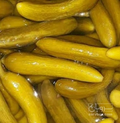 فروش خیار شور