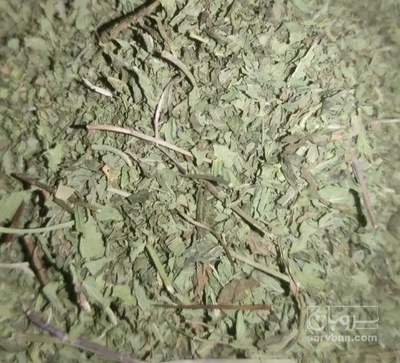 فروش نعناع خشک (گیاه‌ دارویی)