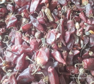 فروش فلفل خشک