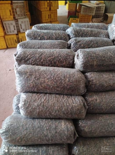 فروش خرما ضایعاتی