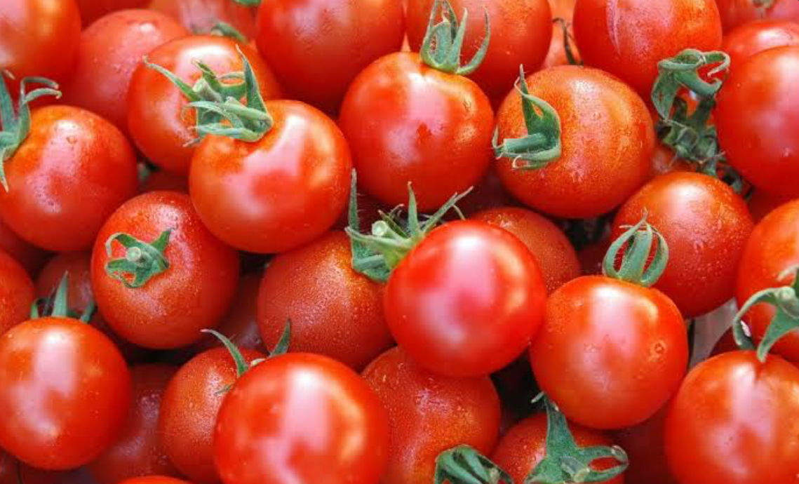 فروش گوجه فرنگی