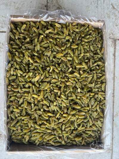 فروش  کشمش سبز کاشمر - کیفیت ممتاز ایرانی