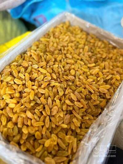 فروش کشمش طلایی کاشمر - کیفیت
