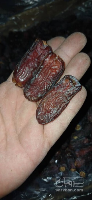 فروش خرما پیارم درجه 1 صادراتی