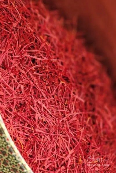 فروش زعفران  نگین(گیاه‌ دارویی)