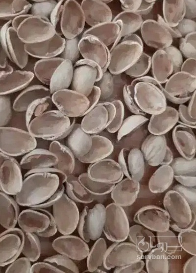 فروش پوست پسته (گیاه‌ دارویی)