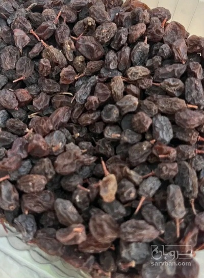 فروش کشمش