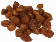 فروش آلو بخارا