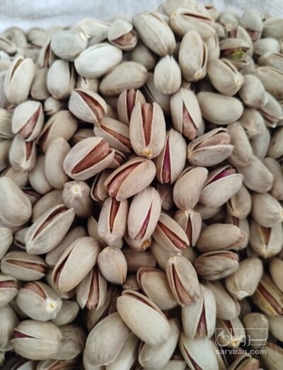 فروش پسته اکبری