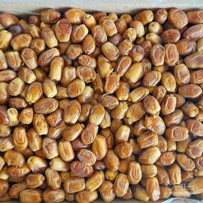 فروش خرما زاهدی