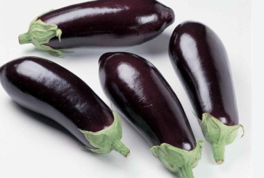 فروش بادمجان