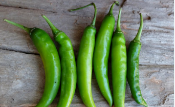 فروش فلفل سبز