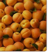 فروش زردآلو