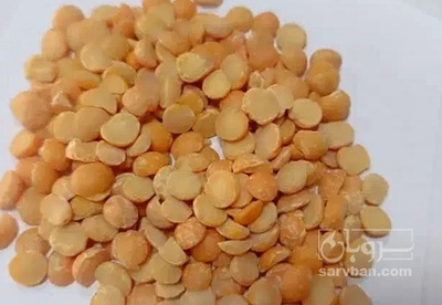 فروش نخود کفتری - لپه