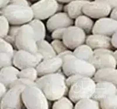 فروش لوبیا سفید