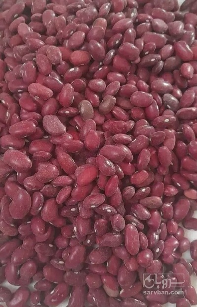 فروش لوبیا قرمز
