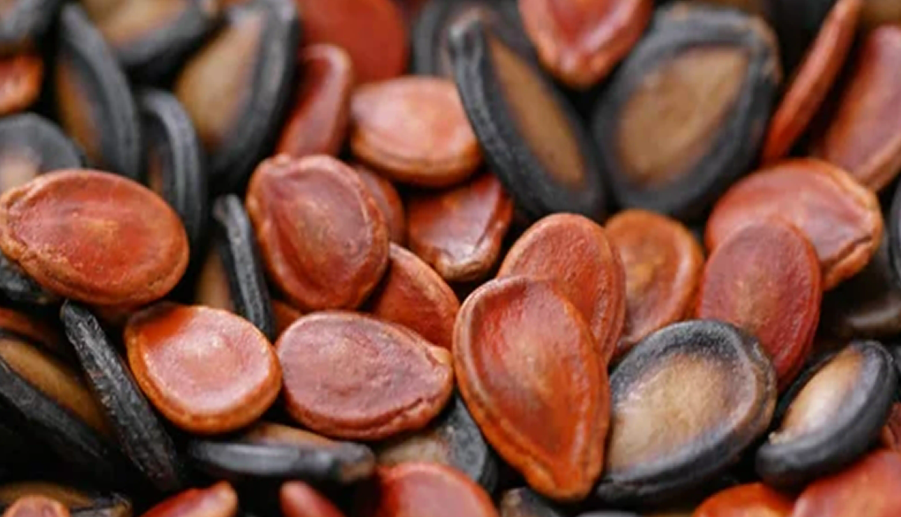 فروش تخمه هندوانه خام