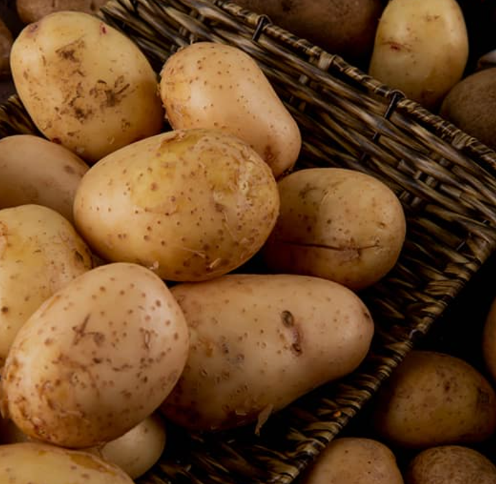 فروش سیب زمینی