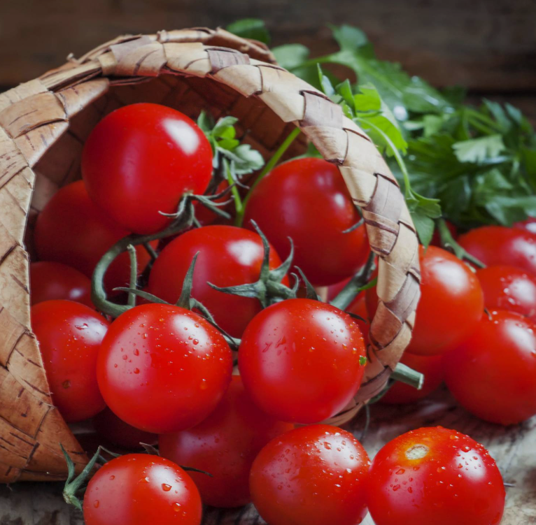 فروش گوجه فرنگی