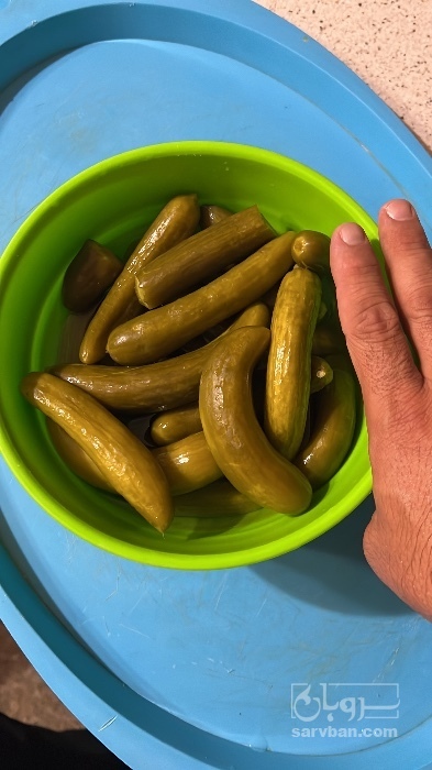 فروش خیار شور