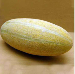 فروش خربزه