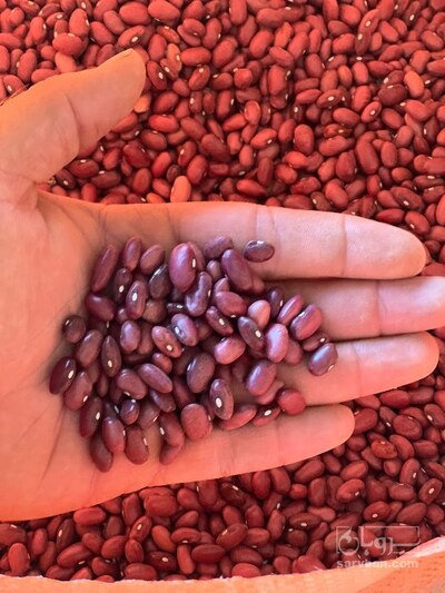 فروش لوبیا قرمز