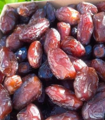 فروش خرما