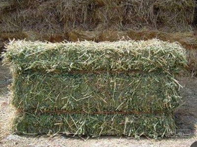 فروش یونجه
