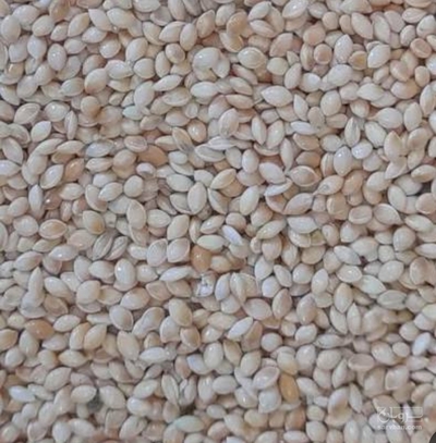 فروش ارزن