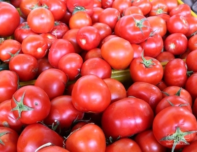 فروش گوجه فرنگی