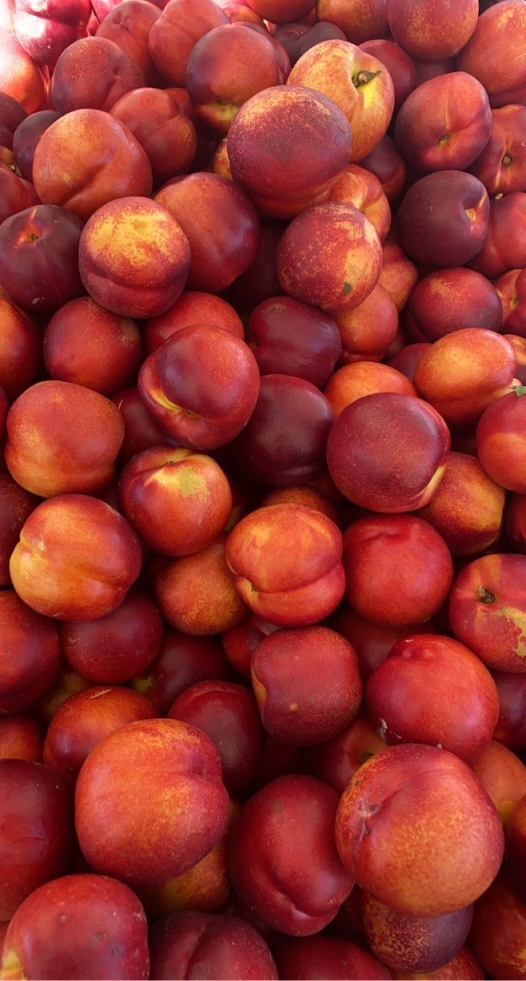 فروش شلیل سی بی