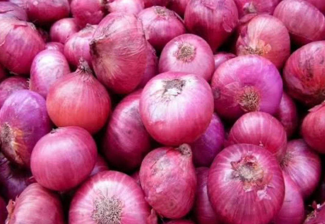 فروش پیازقرمز