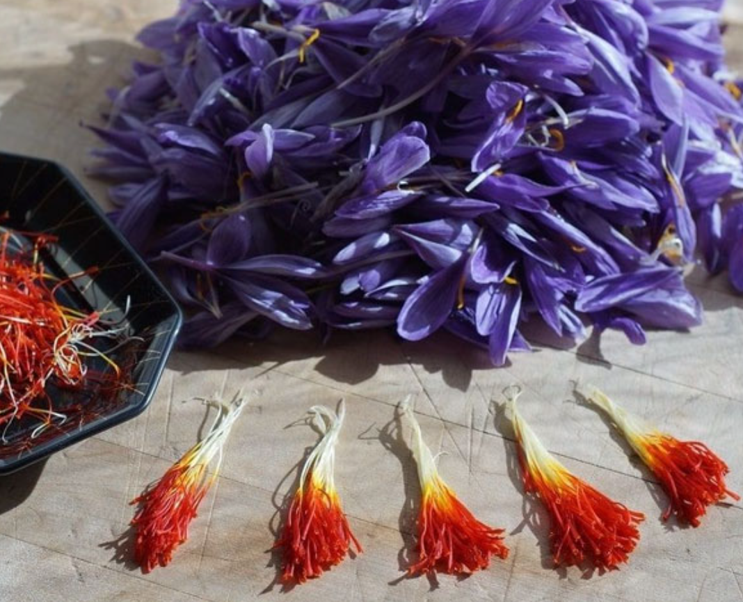 فروش زعفران (گیاه‌ دارویی)