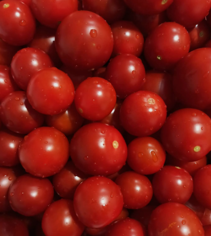 فروش گوجه فرنگی