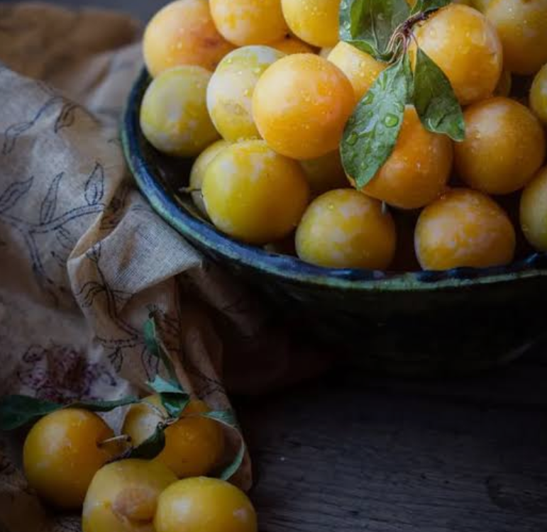 فروش آلو زرد