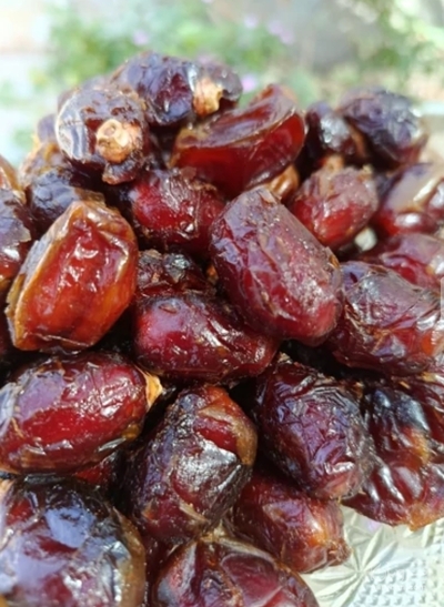 فروش خرماربی