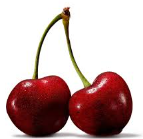 فروش گیلاس