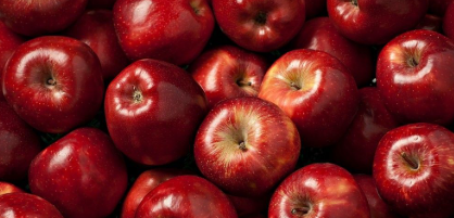 فروش سیب قرمز