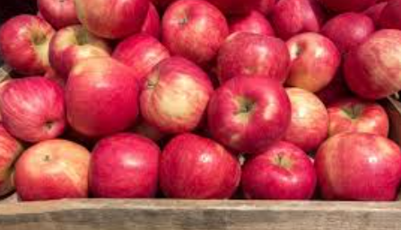 فروش سیب قرمز