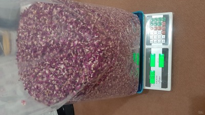 فروش گل محمدی (گیاه‌ دارویی)