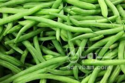 فروش لوبیا سبز