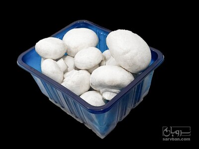 فروش قارچ دکمه ای