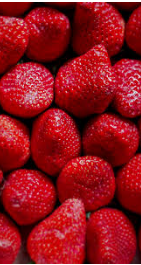 فروش توت فرنگی