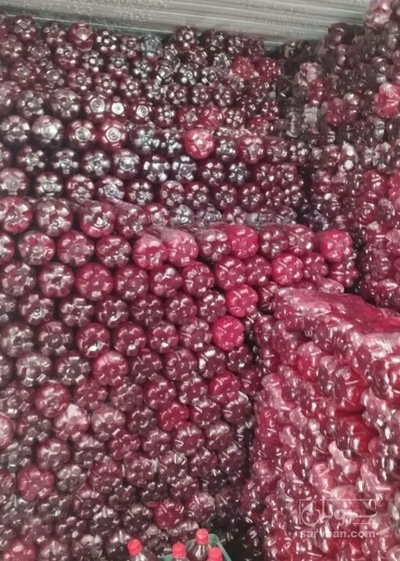 فروش آب انار