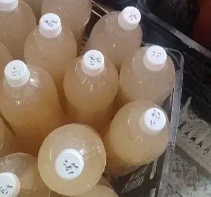 فروش سرکه سیب