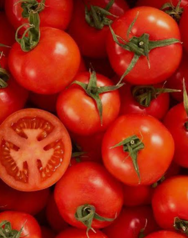 فروش گوجه فرنگی