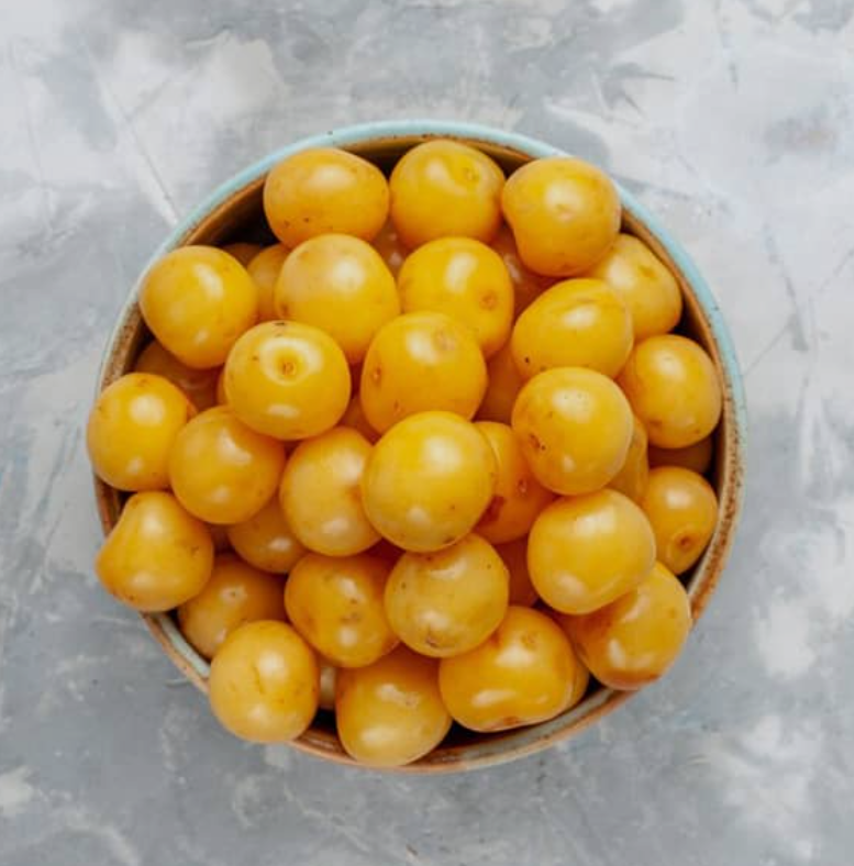 فروش نهال آلو زرد