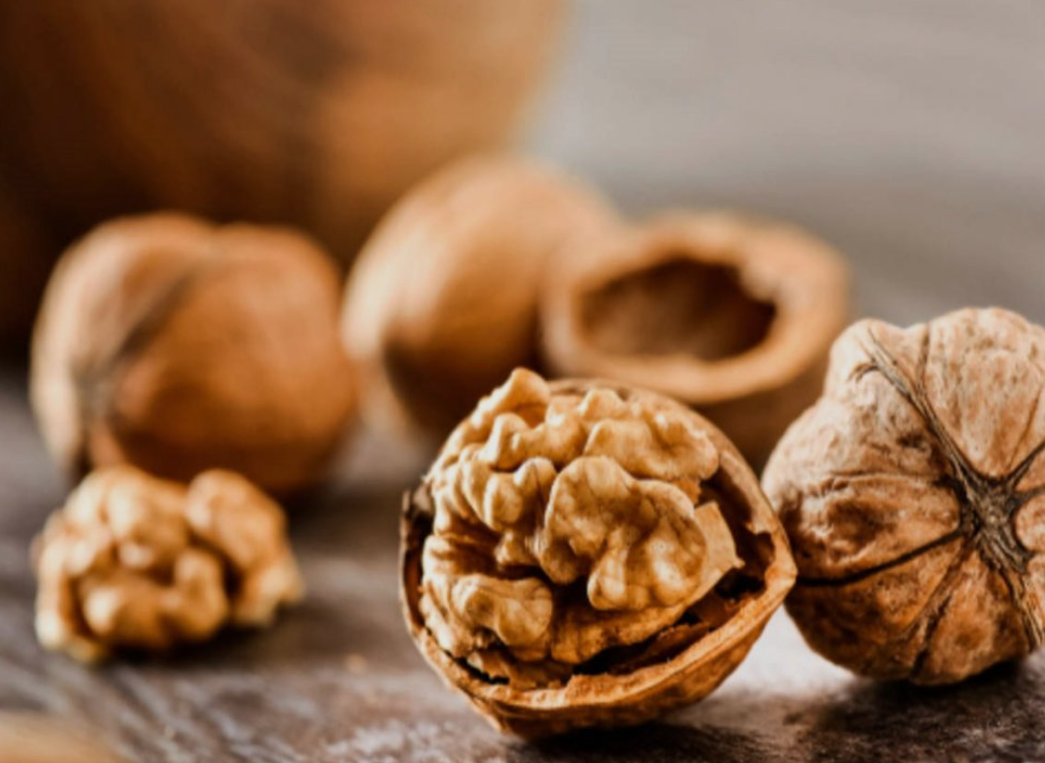 فروش نهال گردو اسرائیلی