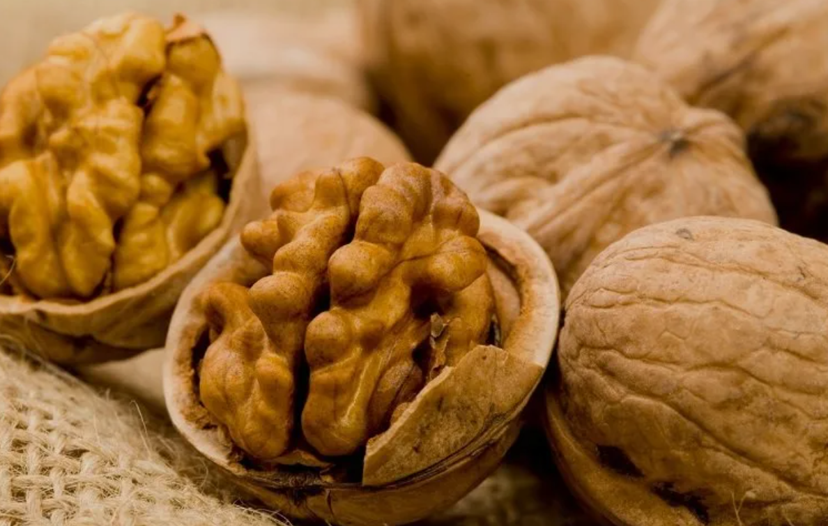 فروش نهال گردو خوشه ای