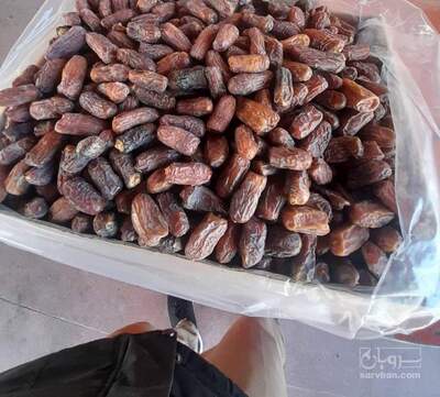 فروش خرماپیارم صادراتی
